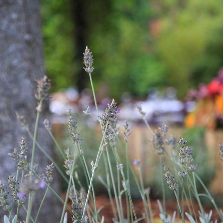 Podere La Miniera Relax & Food Siena Zewnętrze zdjęcie