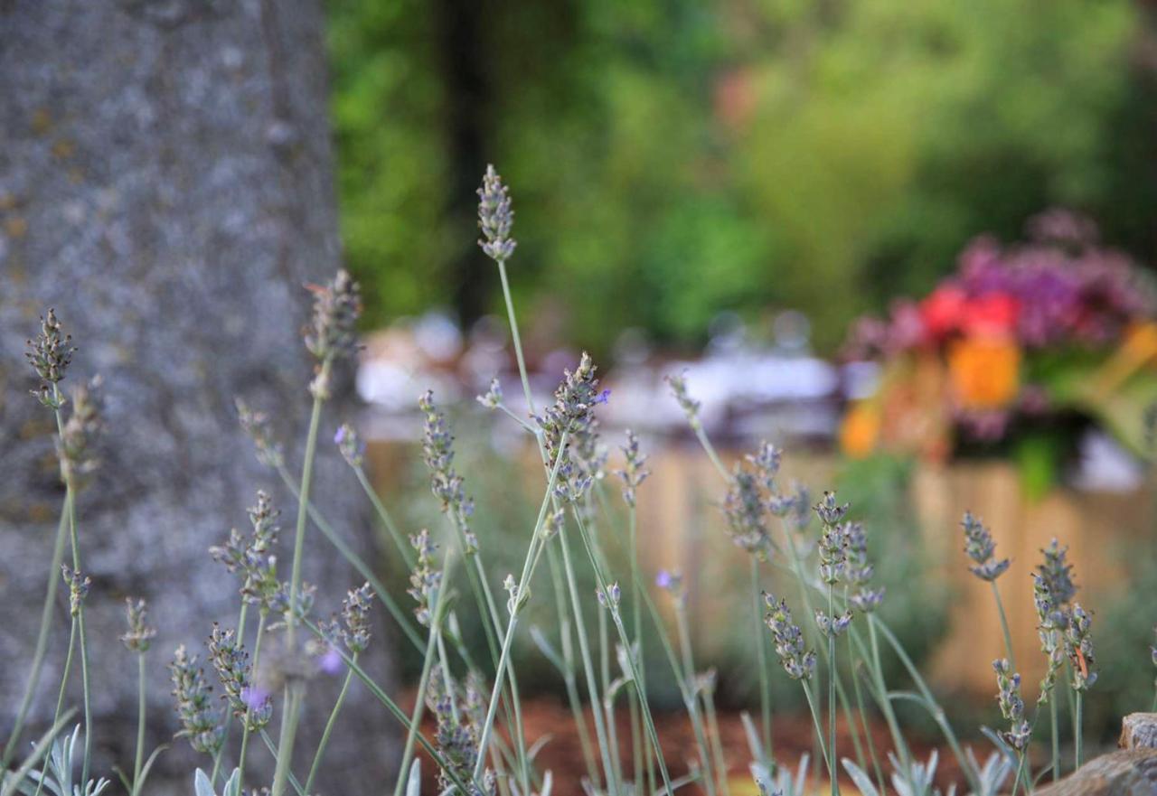 Podere La Miniera Relax & Food Siena Zewnętrze zdjęcie